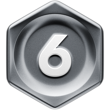 Silver 6